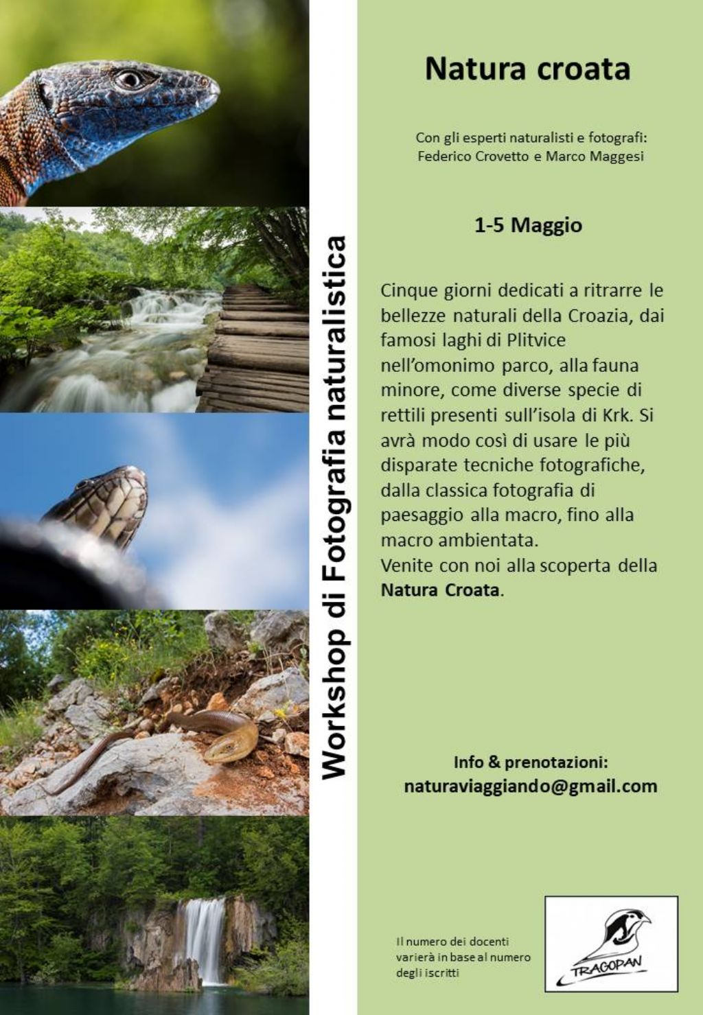 Viaggio di fotografia naturalistica in Croazia